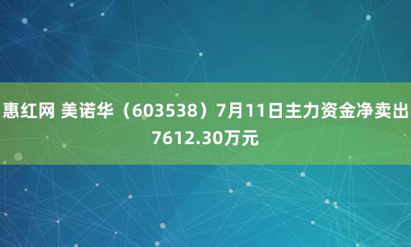 惠红网 美诺华（603538）7月11日主力资金净卖出7612.30万元