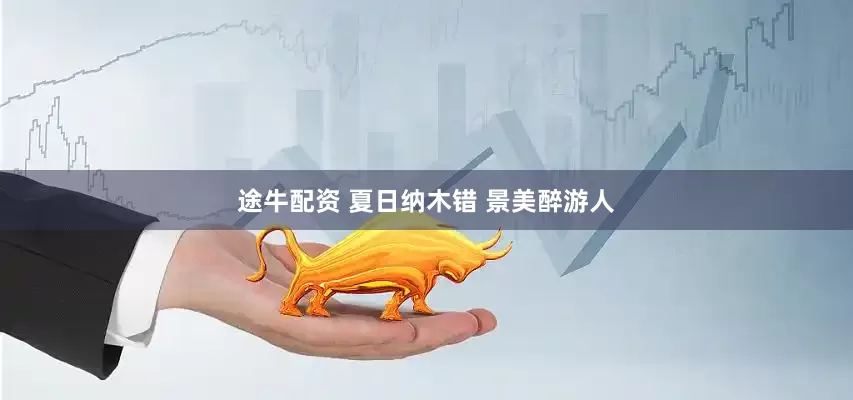 途牛配资 夏日纳木错 景美醉游人