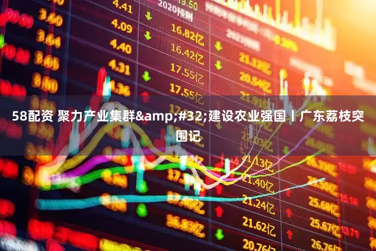 58配资 聚力产业集群&#32;建设农业强国丨广东荔枝突围记