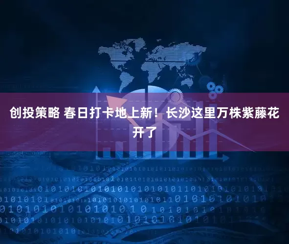 创投策略 春日打卡地上新！长沙这里万株紫藤花开了